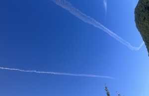 张凡凡：清新论（清新思想体系）第四版