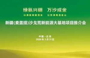 新疆麦盖提沙戈荒特大型新能源基地项目推介会成功举办