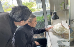 徐念沙赴袁嘉骐艺术馆调研 强调坚守手工制作核心地位